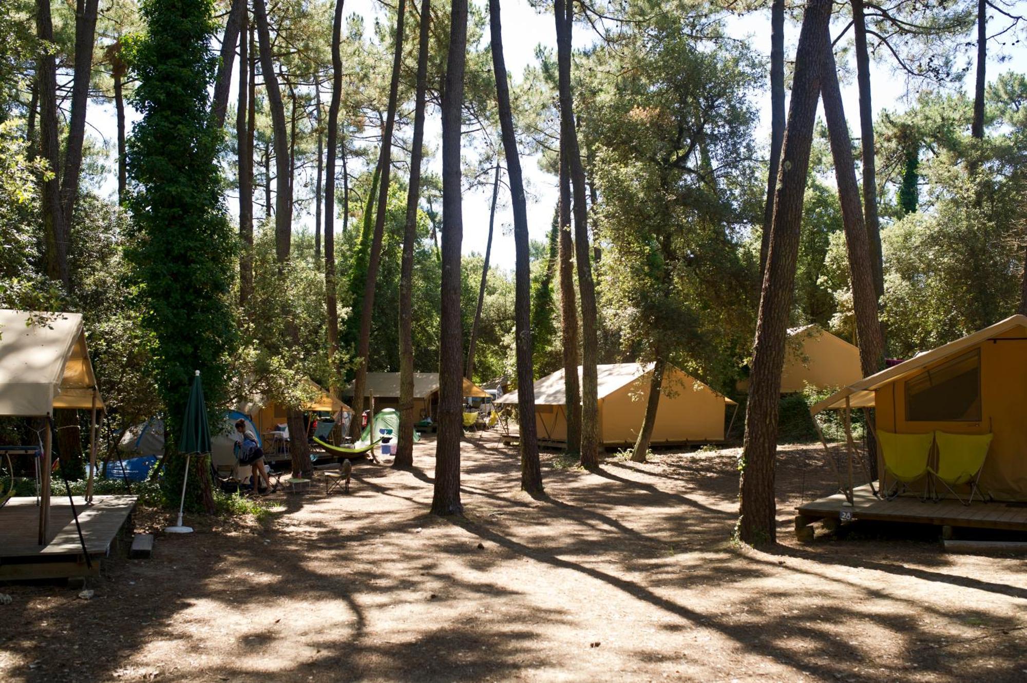 Huttopia Oleron Les Chenes Verts Dolus d'Oléron Oda fotoğraf
