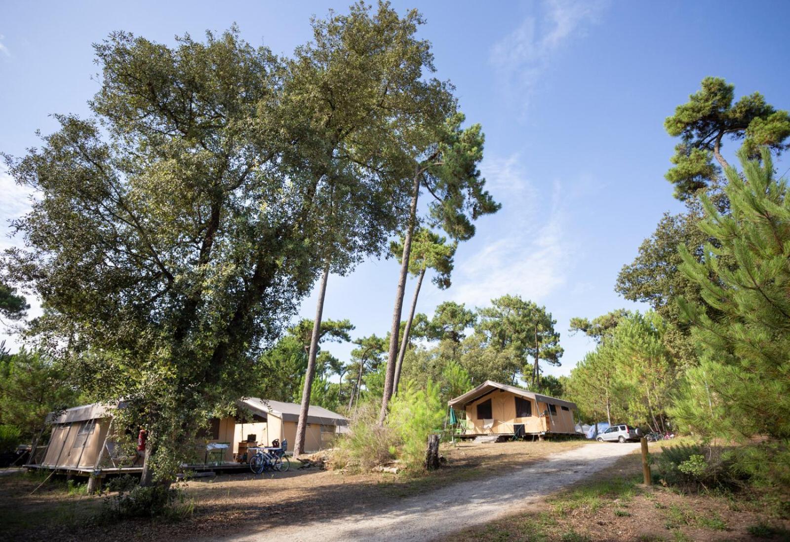 Huttopia Oleron Les Chenes Verts Dolus d'Oléron Dış mekan fotoğraf